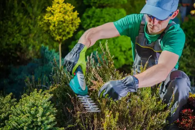 landscaping services Beaumont